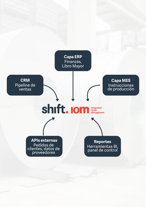 Ecosystem-diagram-IOM (ES)